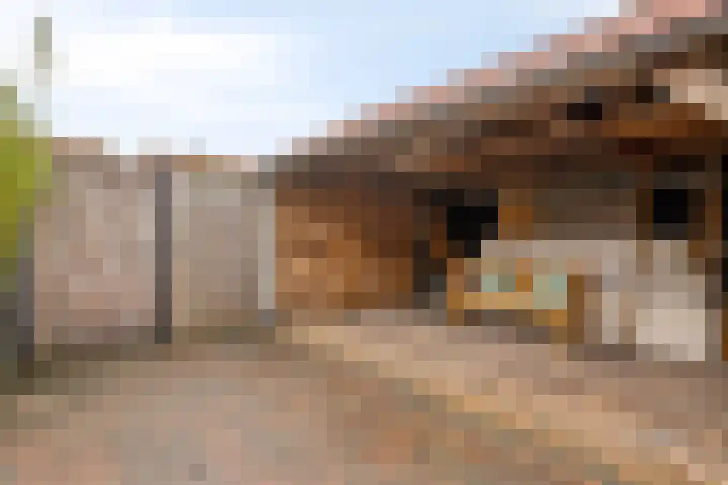 Kloosterstraat 1 Vrouwenpolder thumbnail 23