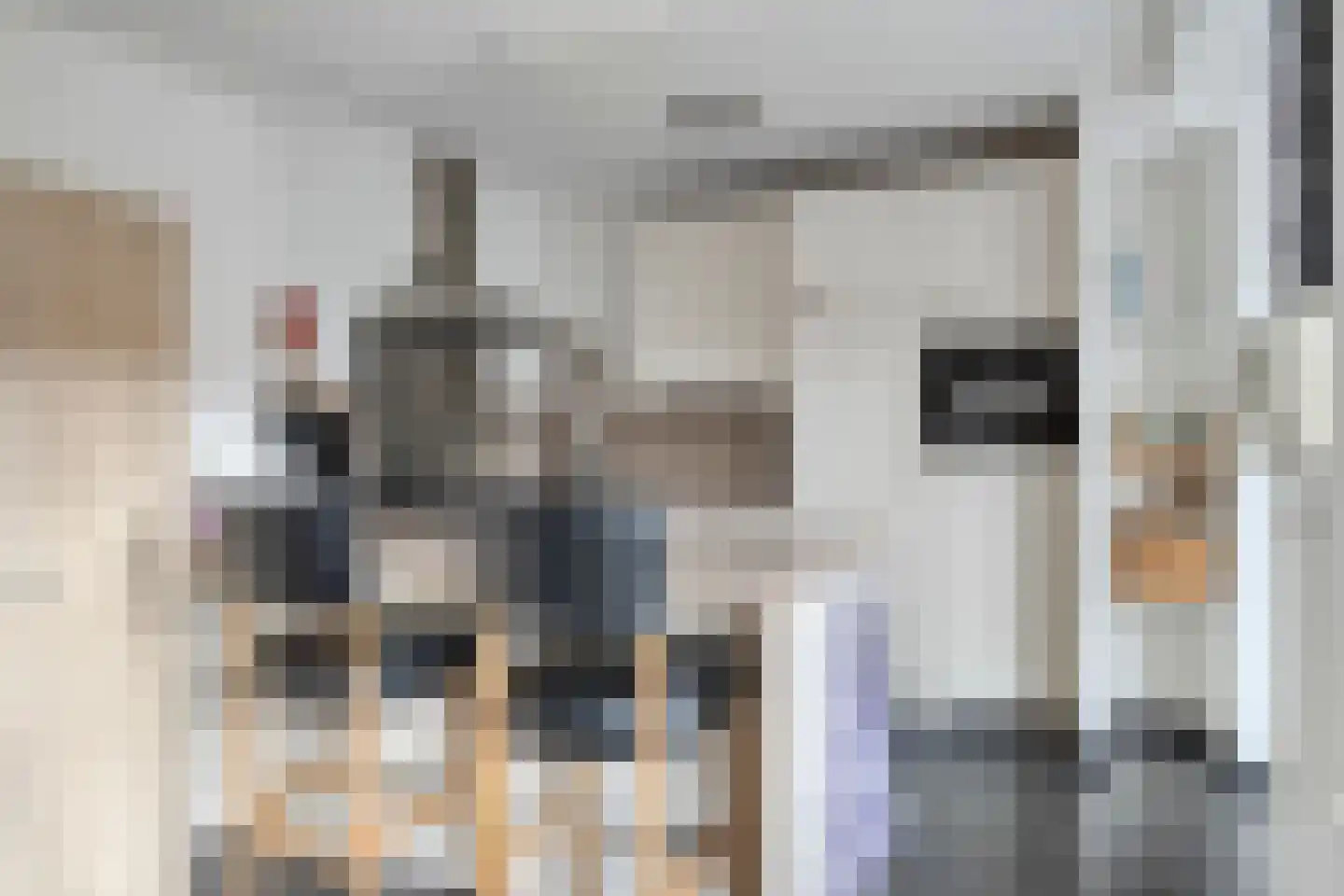 Kloosterstraat 1 Vrouwenpolder thumbnail 9
