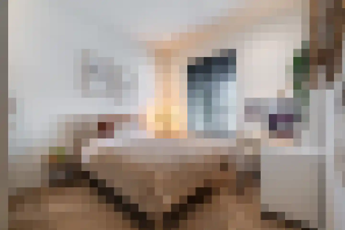 Kloosterstraat 10 Simpelveld thumbnail 26