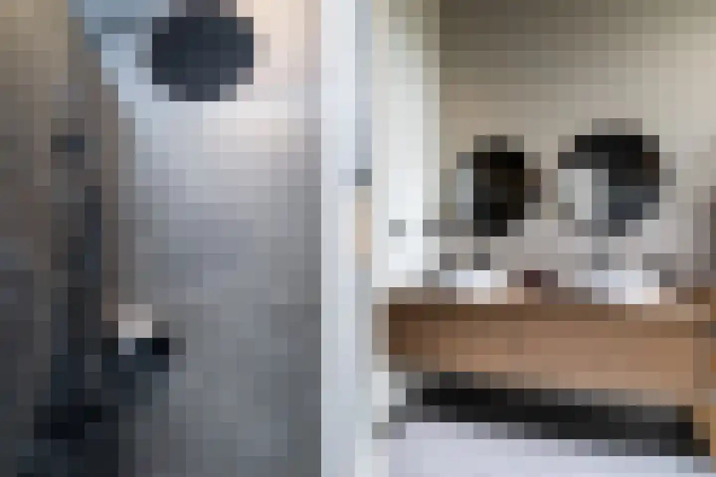 Kloosterstraat 10 Simpelveld thumbnail 31