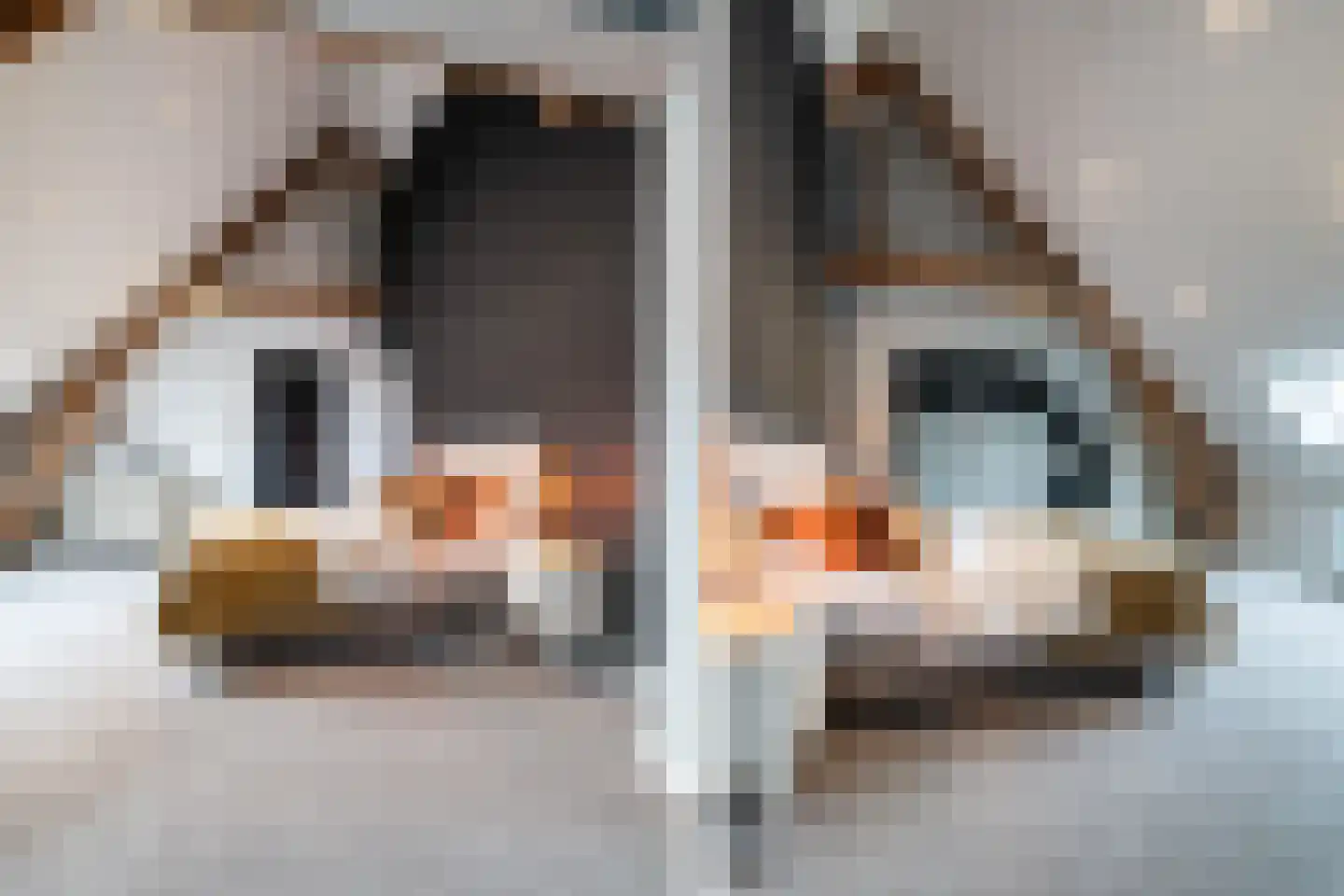 Kloosterstraat 10 Simpelveld thumbnail 33