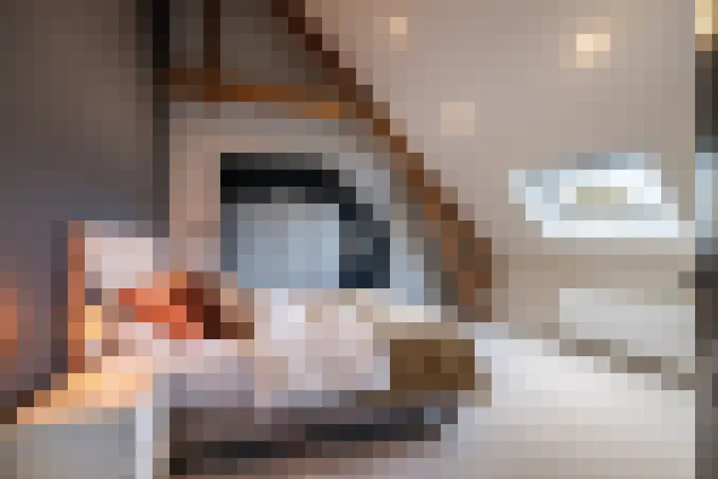 Kloosterstraat 10 Simpelveld thumbnail 34
