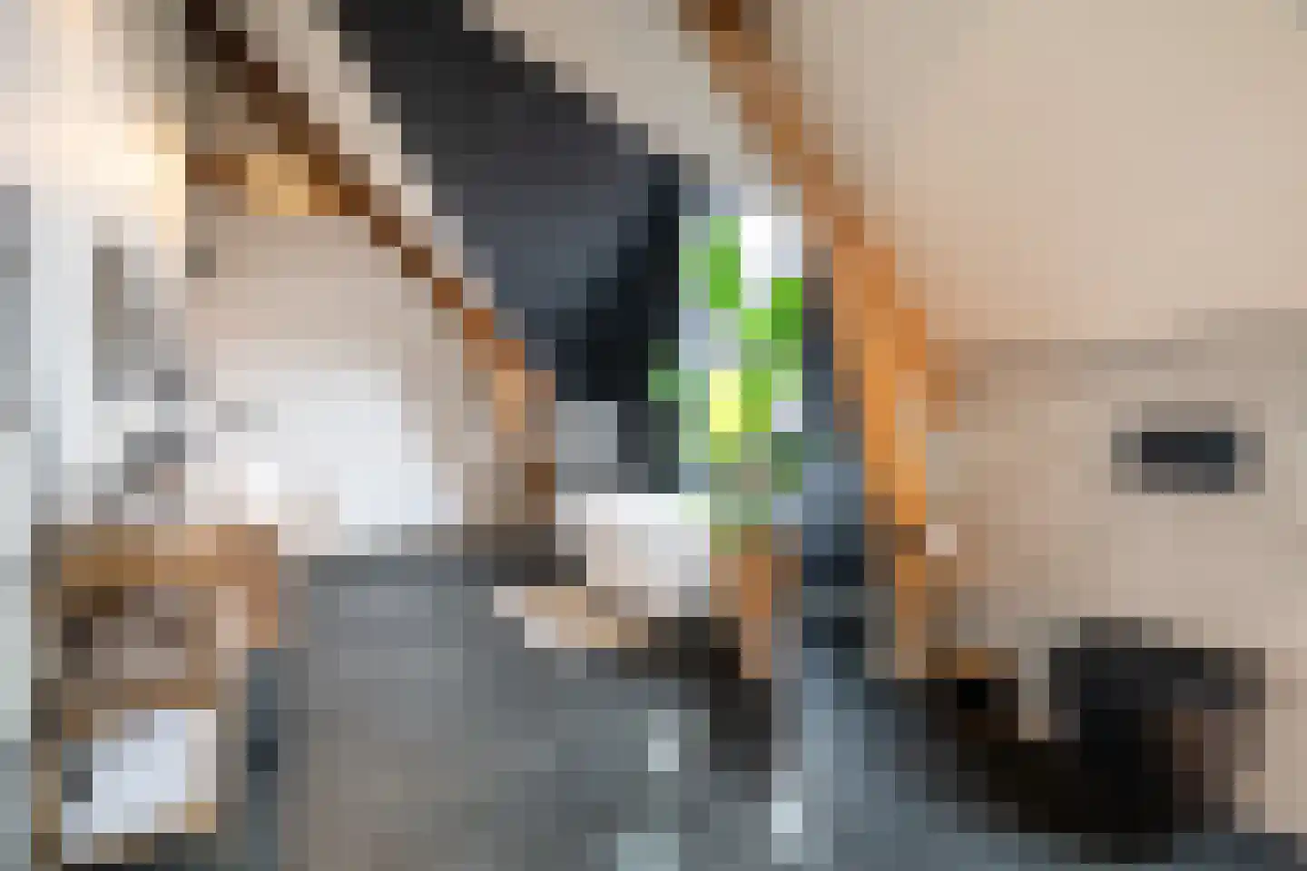Kloosterstraat 10 Simpelveld thumbnail 35