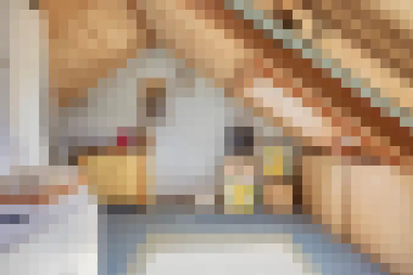 Kloosterstraat 101 Berkel-Enschot thumbnail 41
