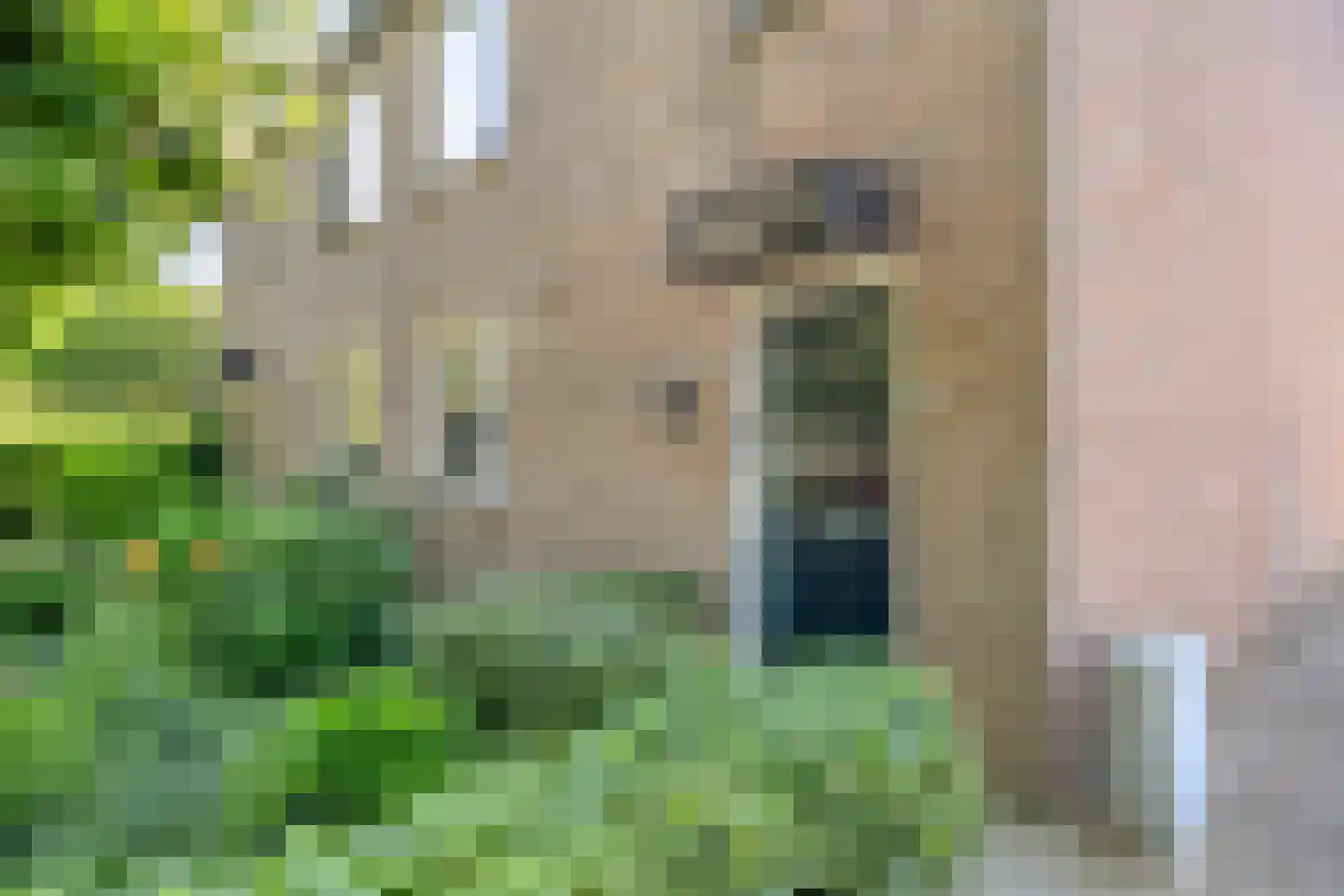 Kloosterstraat 101 Berkel-Enschot thumbnail 56
