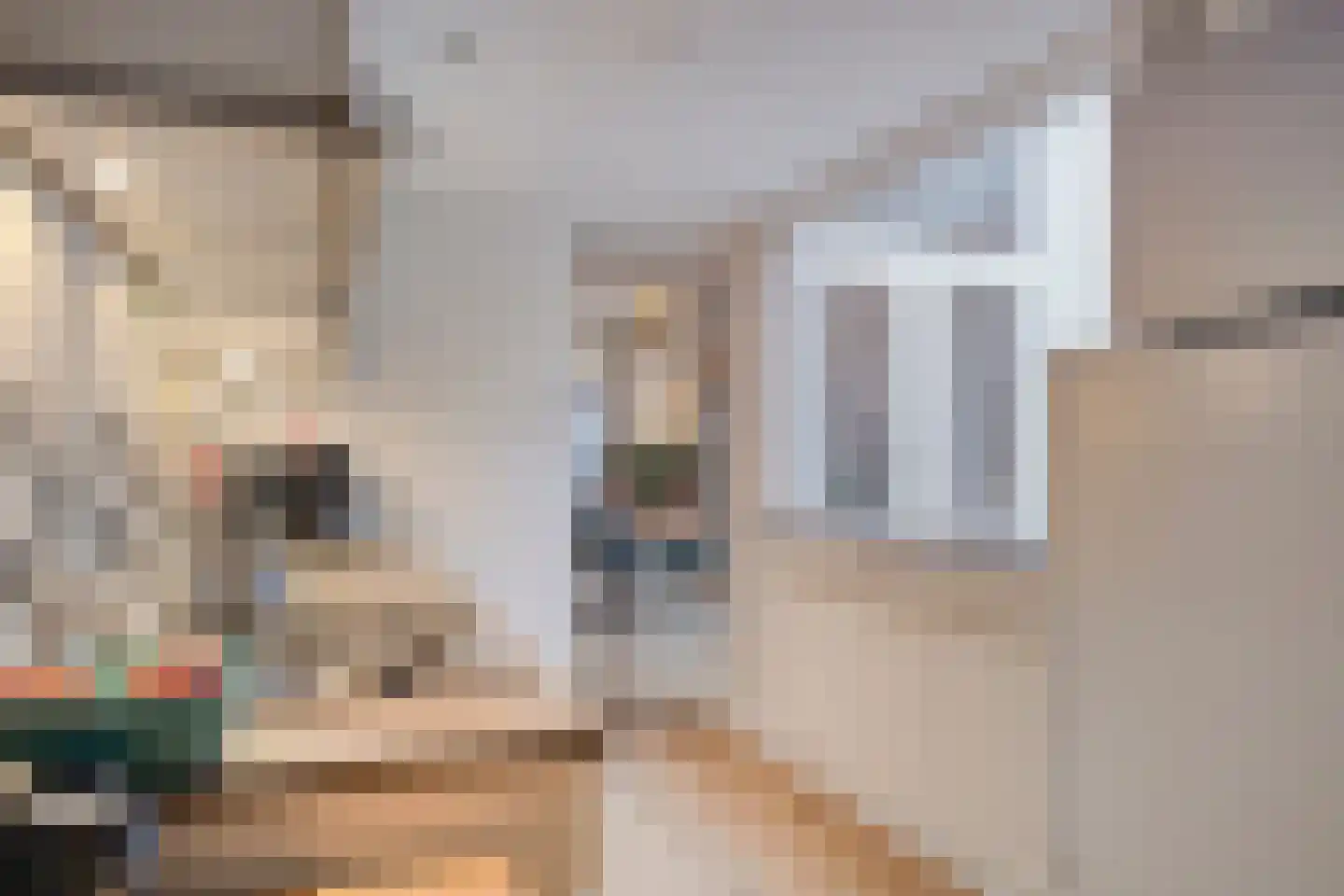 Kloosterstraat 107 Haarlem thumbnail 14