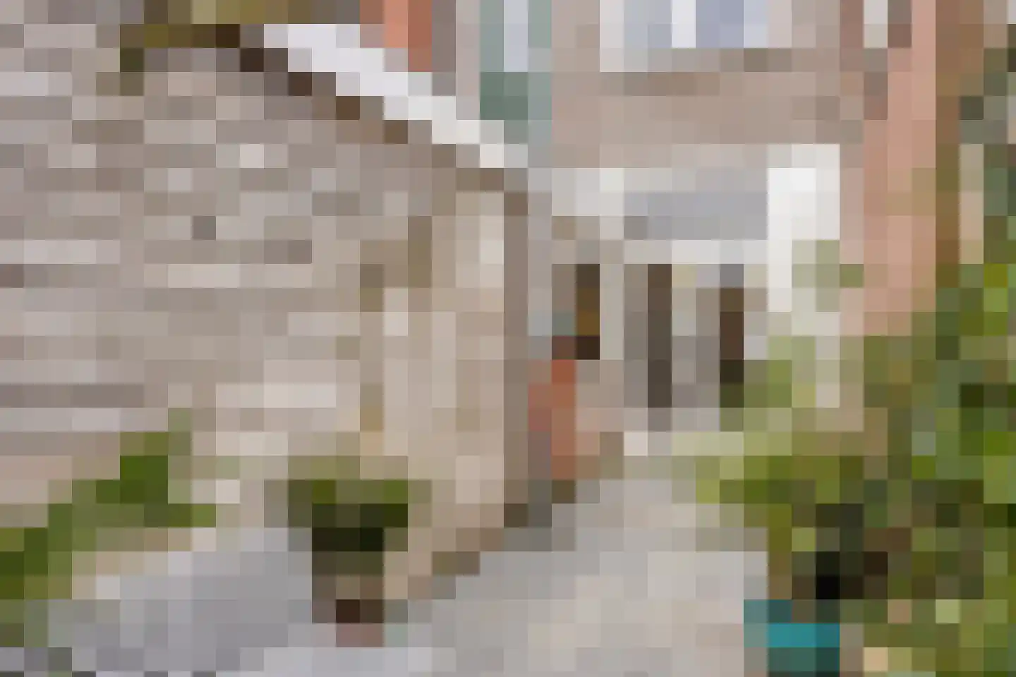 Kloosterstraat 107 Haarlem thumbnail 5