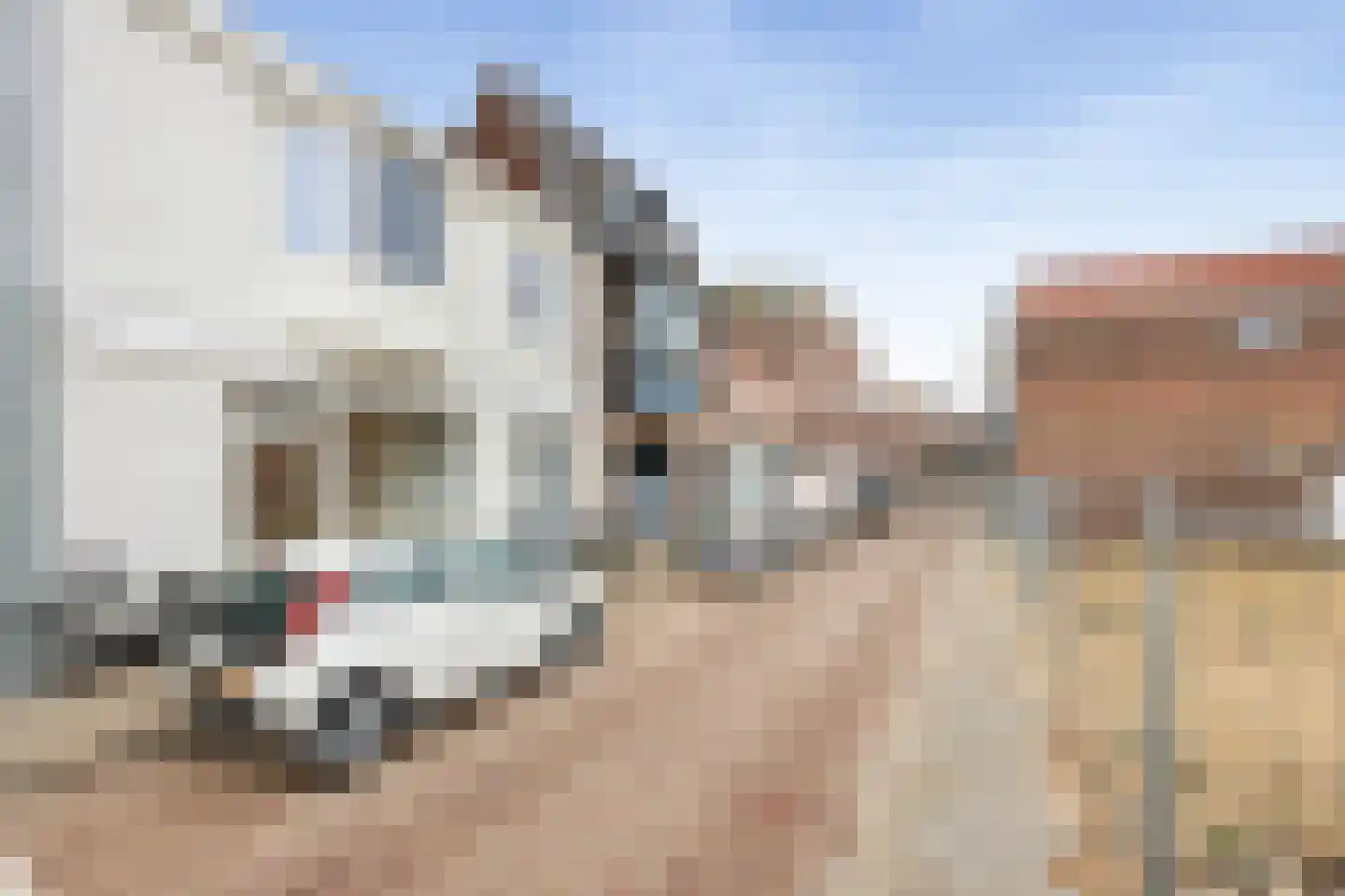Kloosterstraat 11 bene Beverwijk thumbnail 22