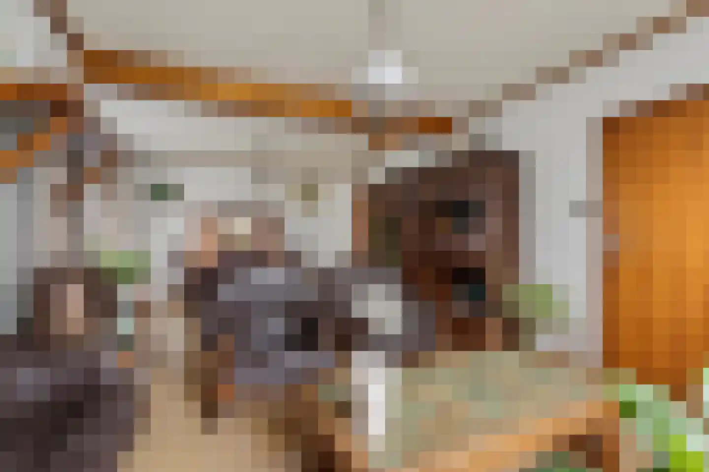 Kloosterstraat 11 Chaam thumbnail 14
