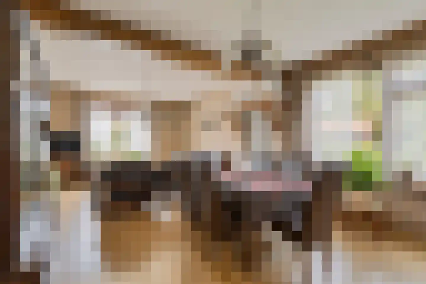 Kloosterstraat 11 Chaam thumbnail 15