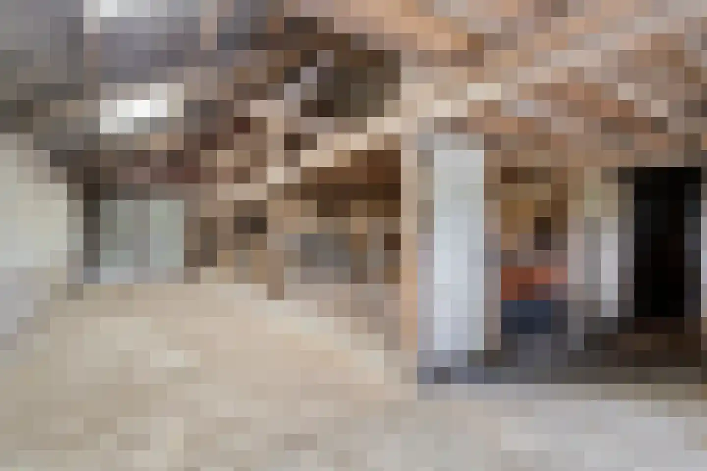 Kloosterstraat 11 Chaam thumbnail 21
