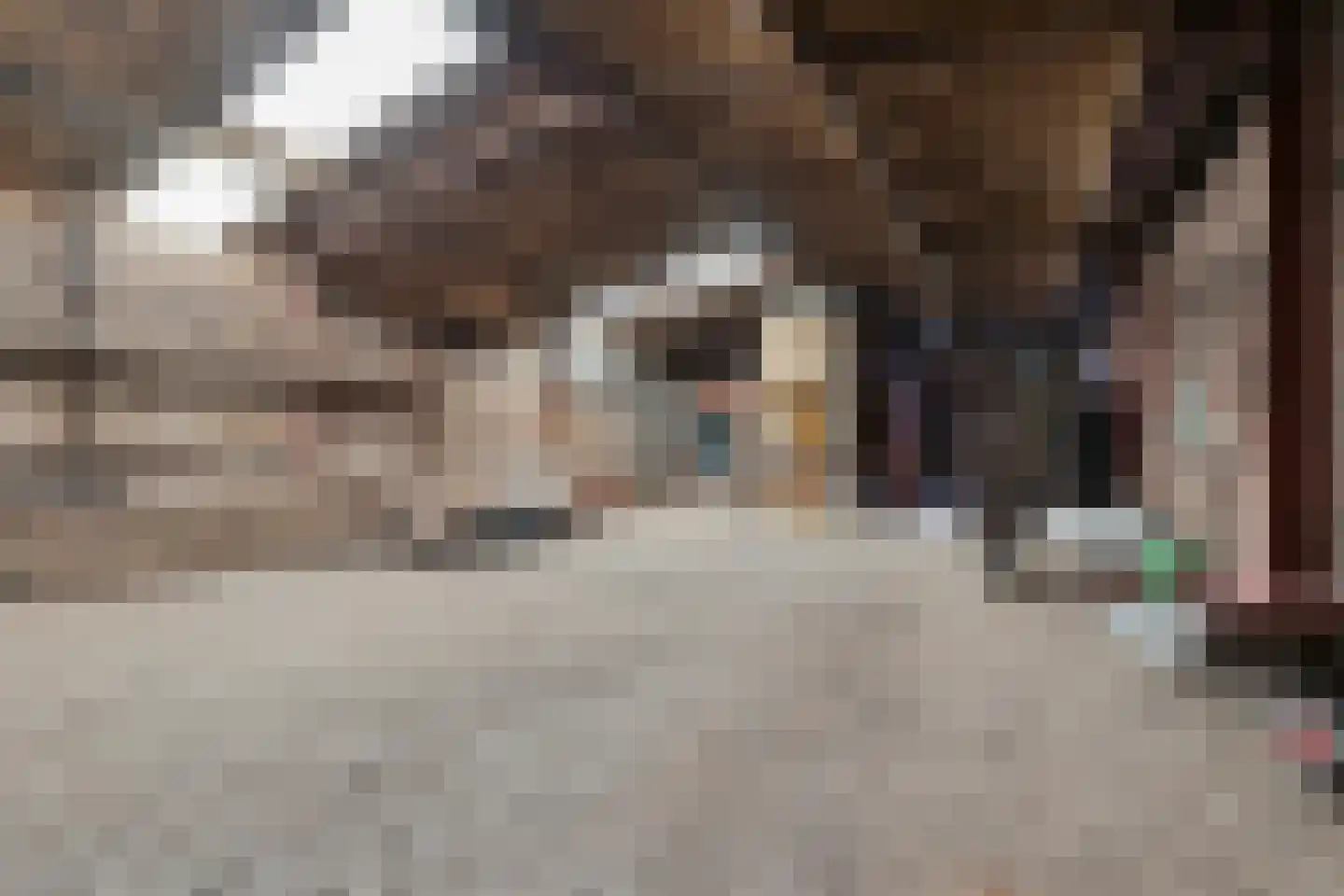 Kloosterstraat 11 Chaam thumbnail 28