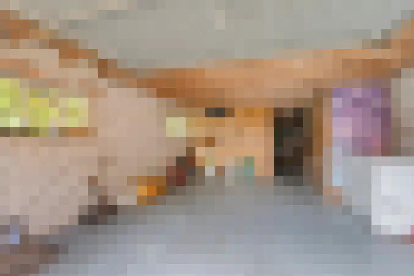 Kloosterstraat 11 Chaam thumbnail 29
