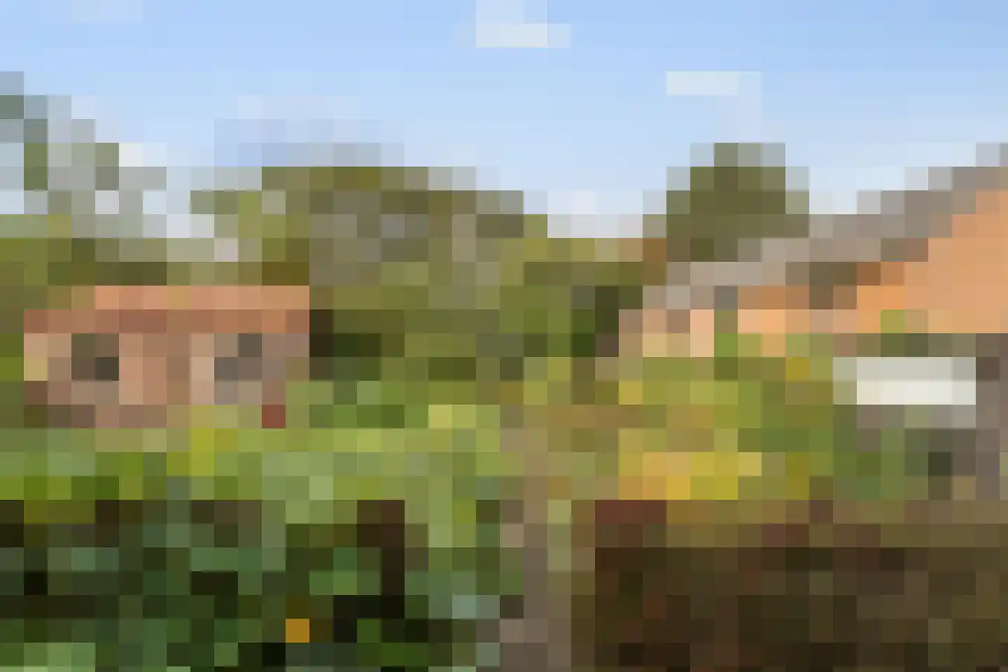 Kloosterstraat 11 Chaam thumbnail 31