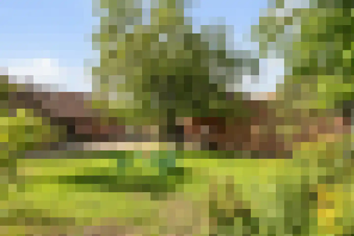 Kloosterstraat 11 Chaam thumbnail 33