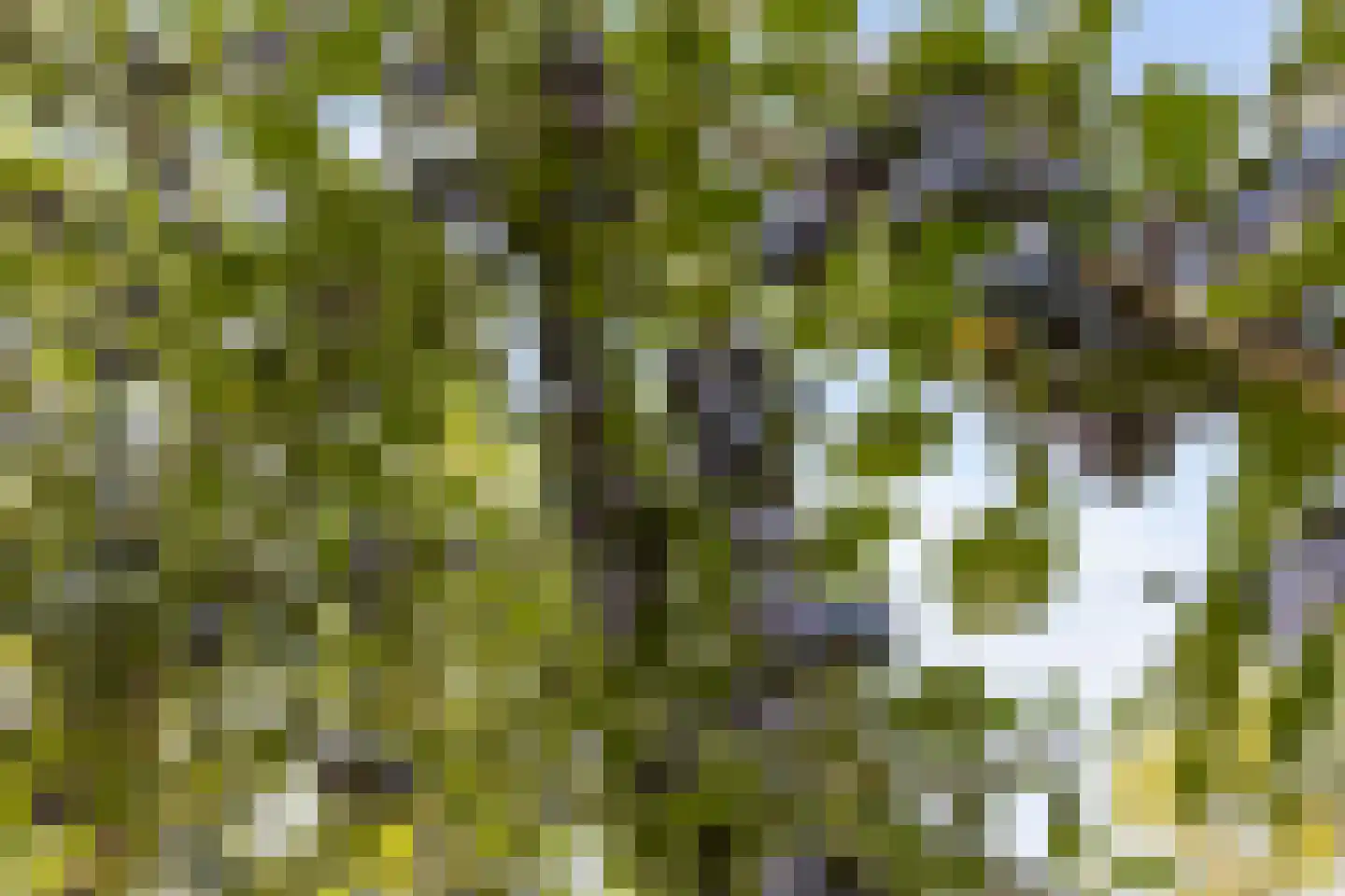 Kloosterstraat 11 Chaam thumbnail 35