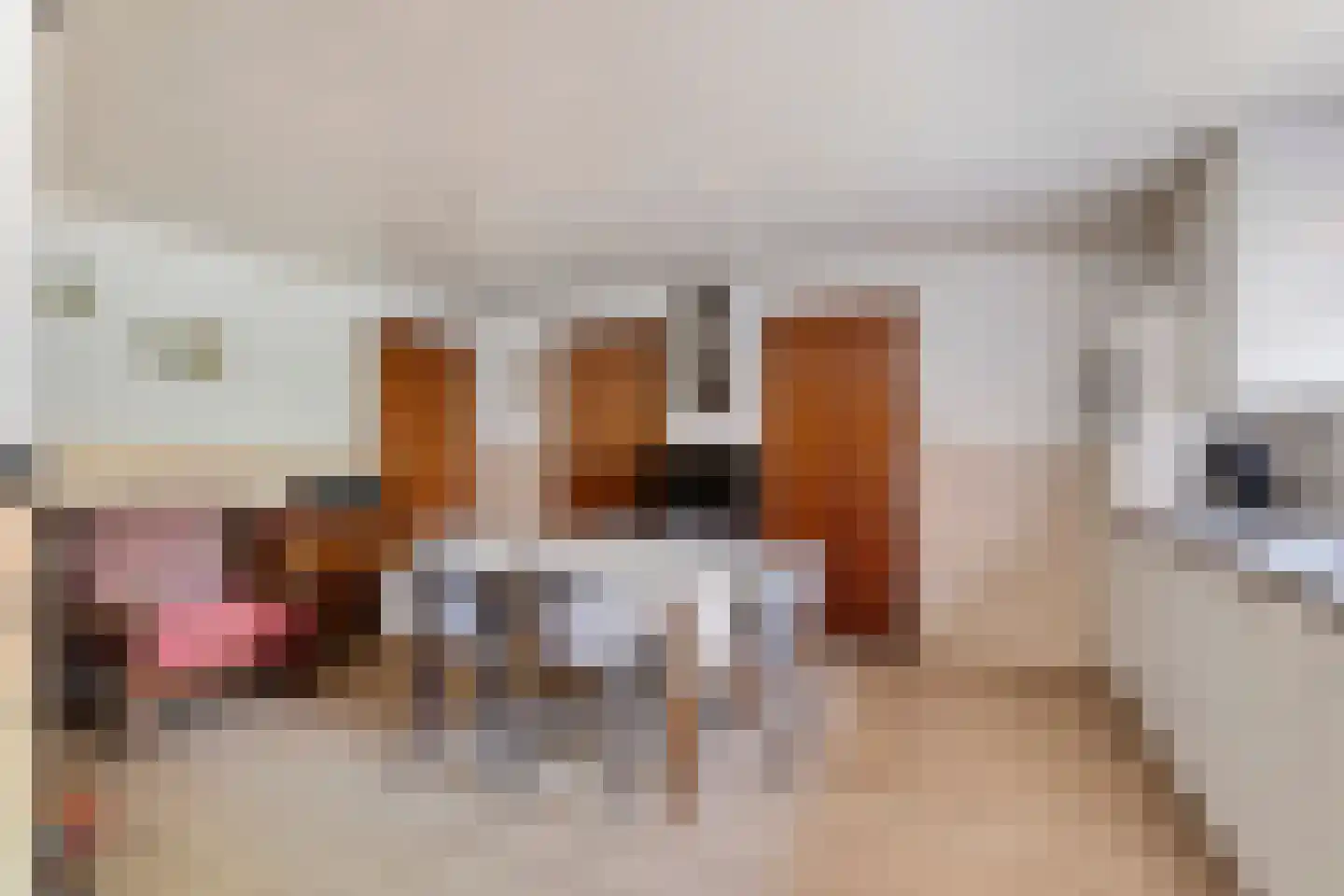 Kloosterstraat 11 Chaam thumbnail 9