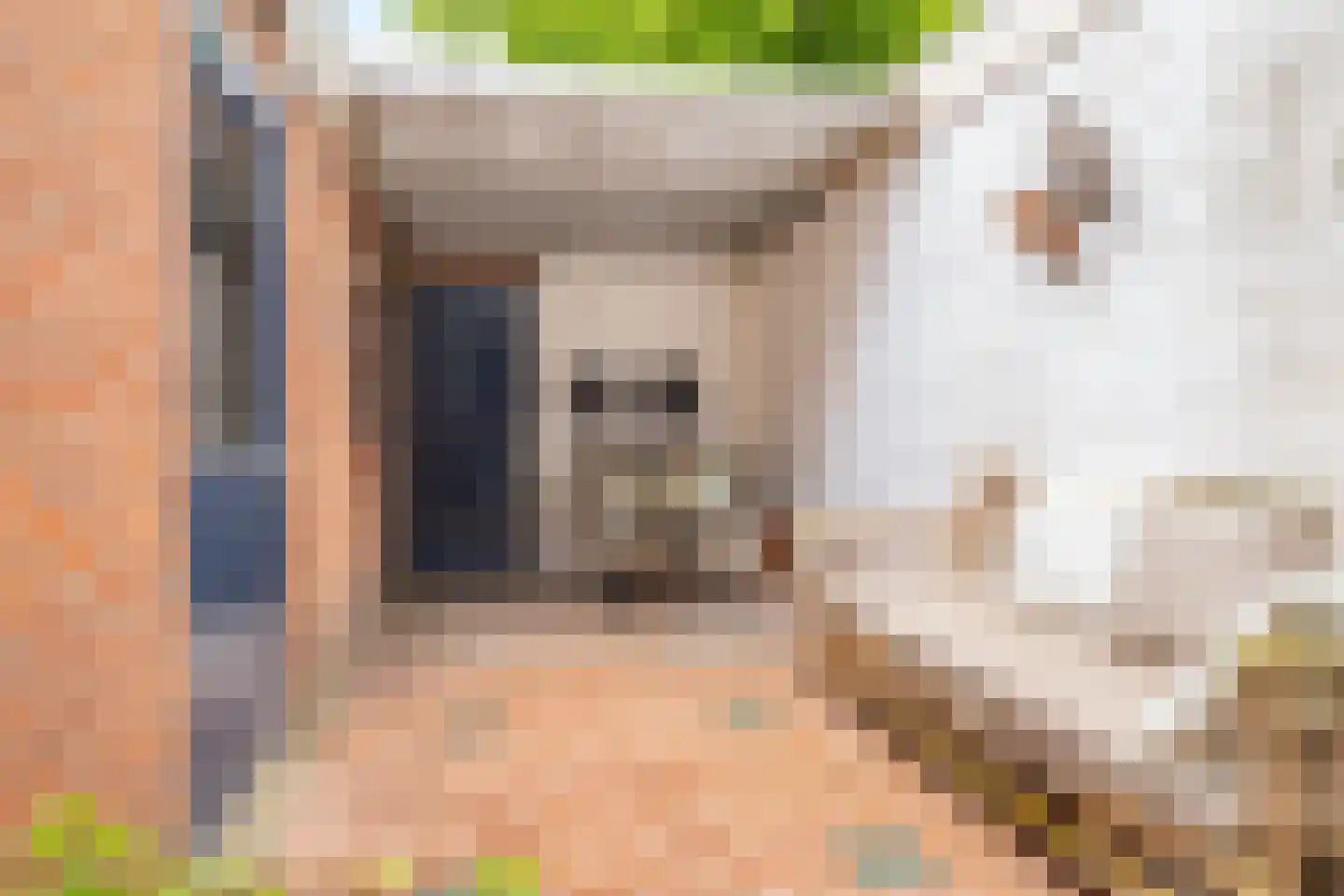 Kloosterstraat 11 Kampen thumbnail 24
