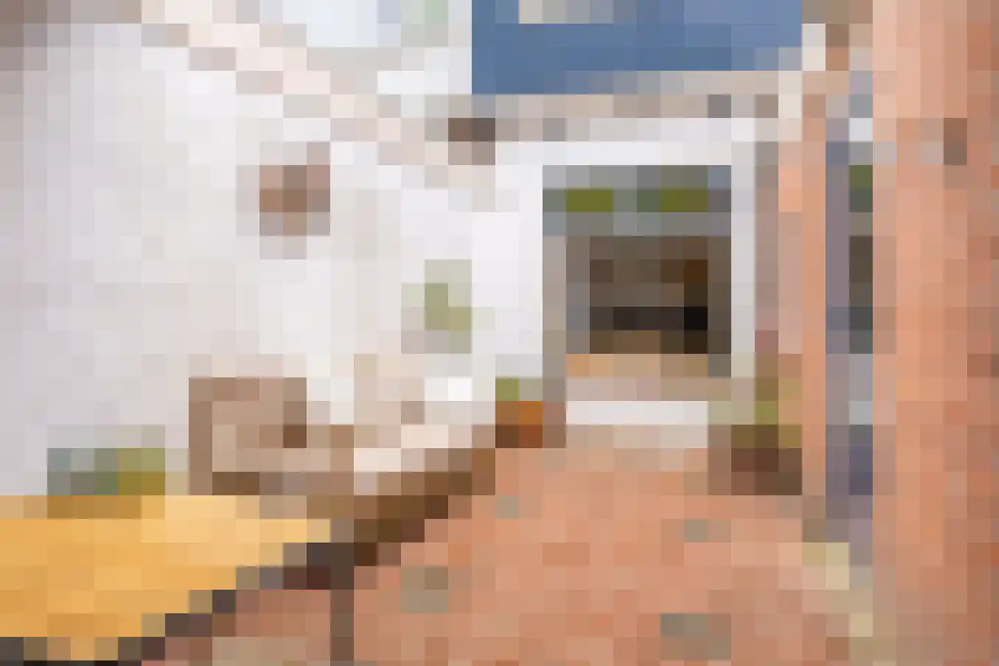 Kloosterstraat 11 Kampen thumbnail 26