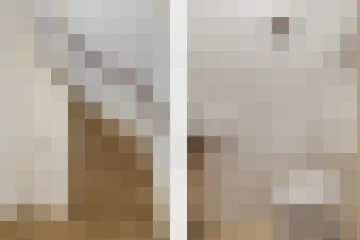 Kloosterstraat 11 Ten Boer thumbnail 11
