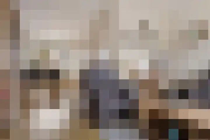 Kloosterstraat 11 Ten Boer thumbnail 16