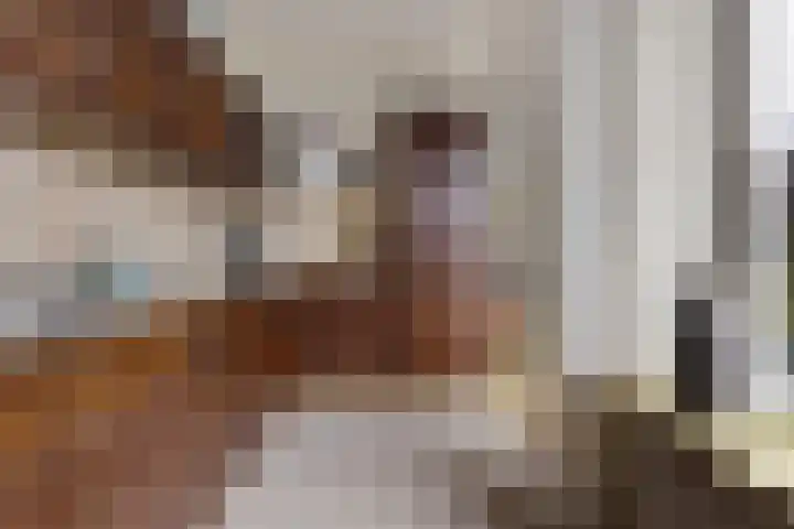 Kloosterstraat 11 Ten Boer thumbnail 20