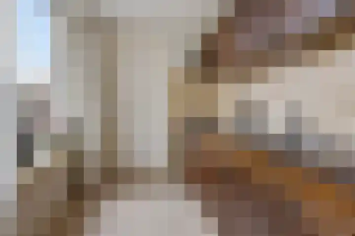 Kloosterstraat 11 Ten Boer thumbnail 21