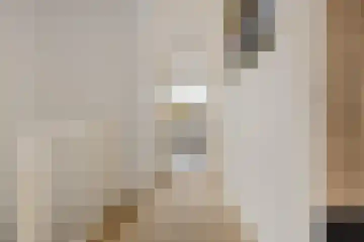 Kloosterstraat 11 Ten Boer thumbnail 25