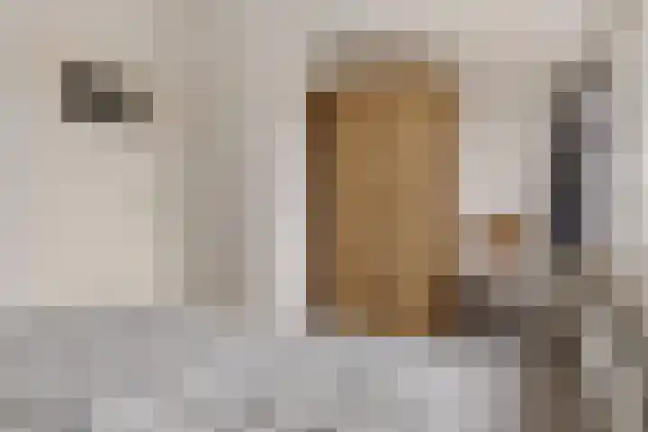 Kloosterstraat 11 Ten Boer thumbnail 29