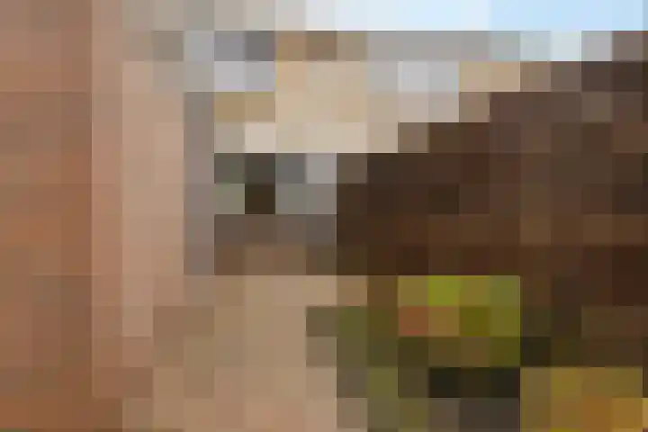 Kloosterstraat 11 Ten Boer thumbnail 36