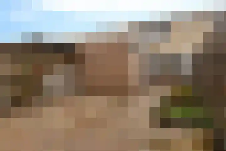 Kloosterstraat 11 Ten Boer thumbnail 37