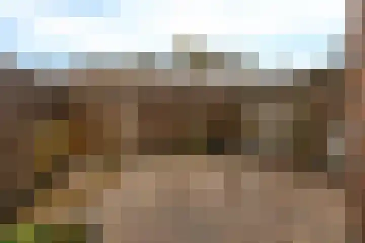 Kloosterstraat 11 Ten Boer thumbnail 38