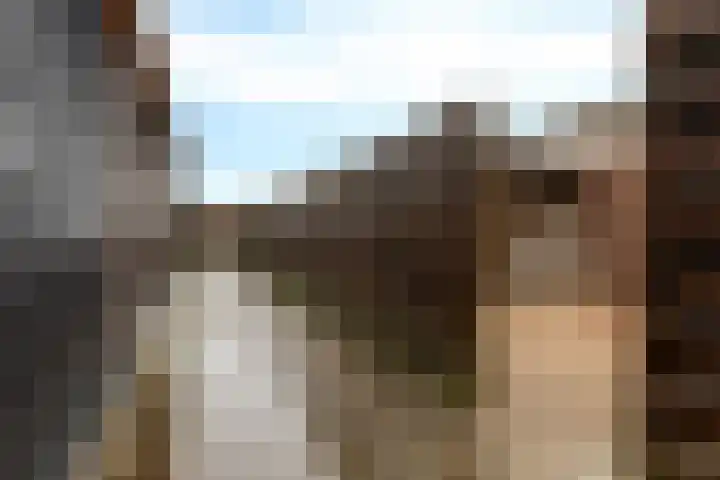 Kloosterstraat 11 Ten Boer thumbnail 39