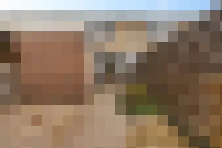 Kloosterstraat 11 Ten Boer thumbnail 40