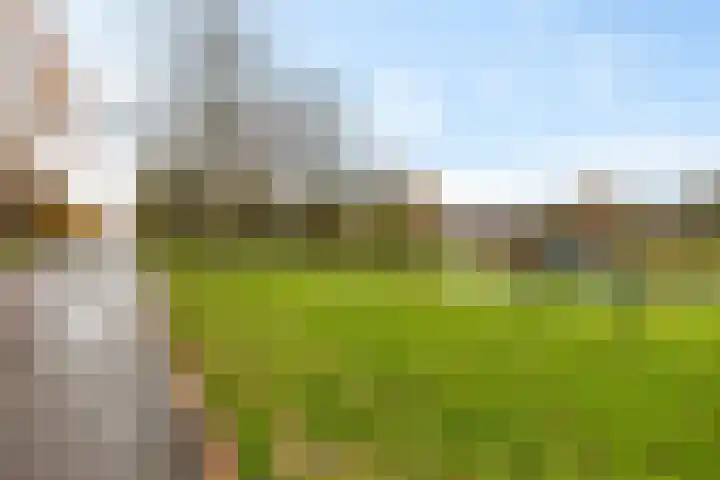 Kloosterstraat 11 Ten Boer thumbnail 41