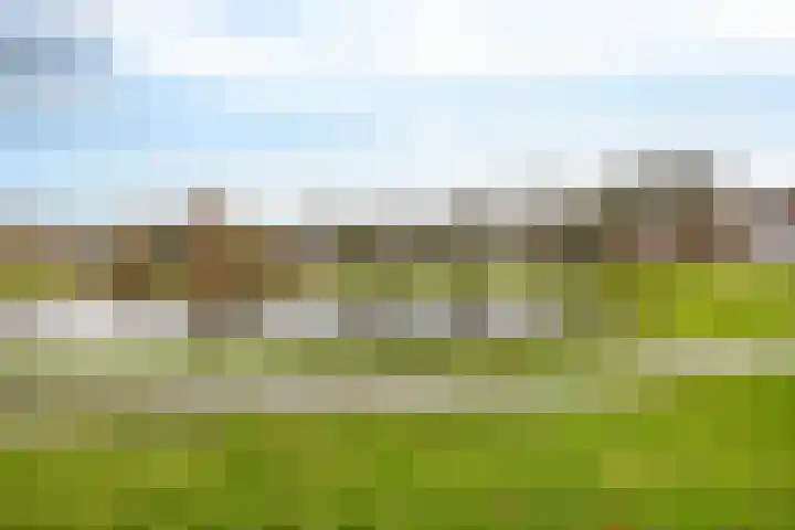 Kloosterstraat 11 Ten Boer thumbnail 42