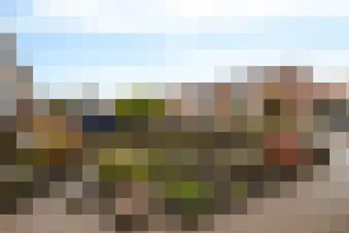 Kloosterstraat 11 Ten Boer thumbnail 8