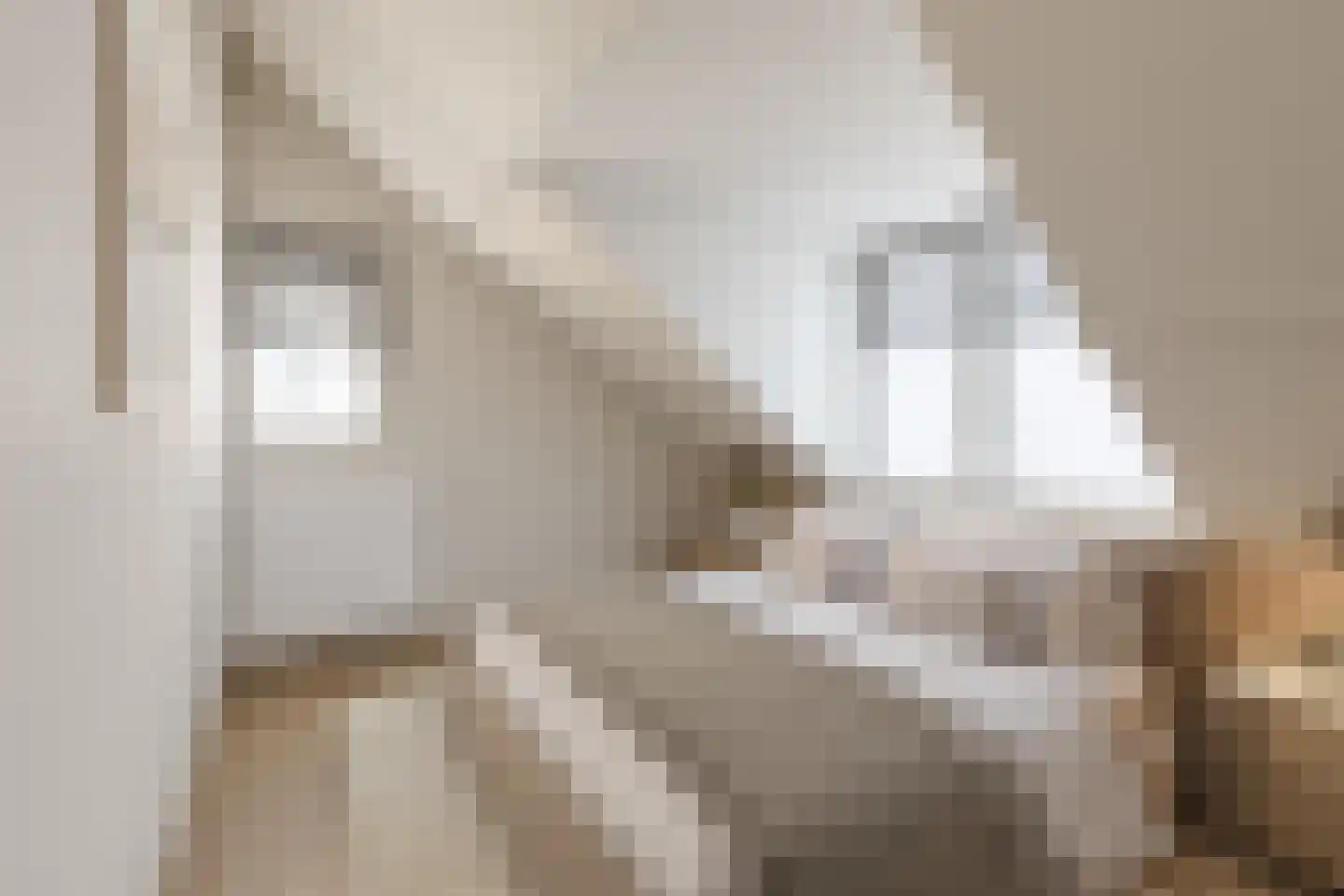 Kloosterstraat 12 Made thumbnail 22