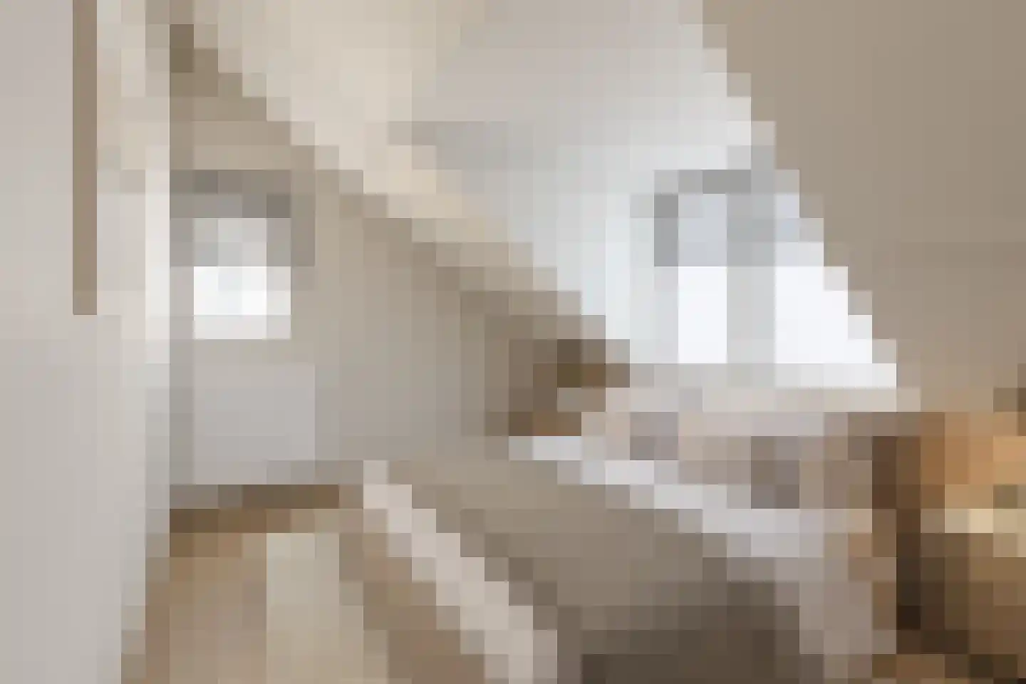 Kloosterstraat 12 Made thumbnail 22