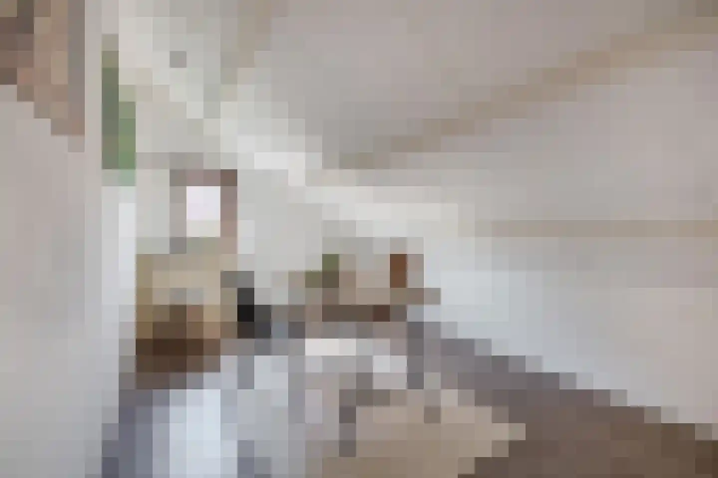 Kloosterstraat 12 Made thumbnail 25
