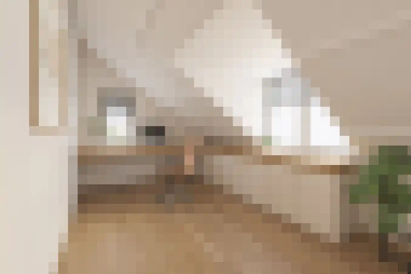 Kloosterstraat 12 Made thumbnail 26
