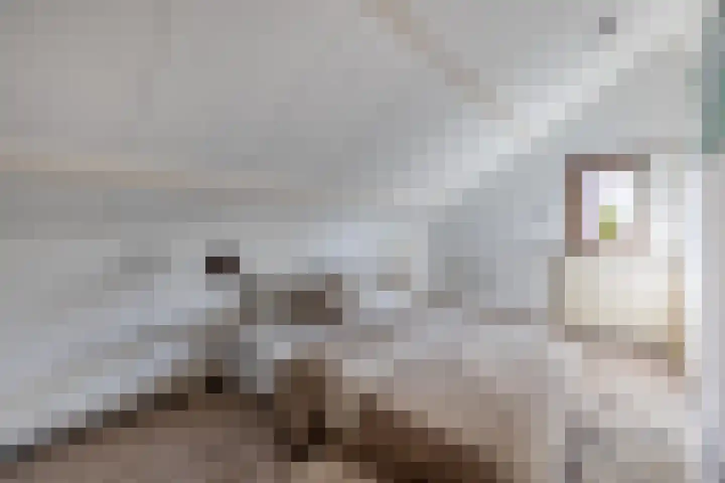 Kloosterstraat 12 Made thumbnail 27