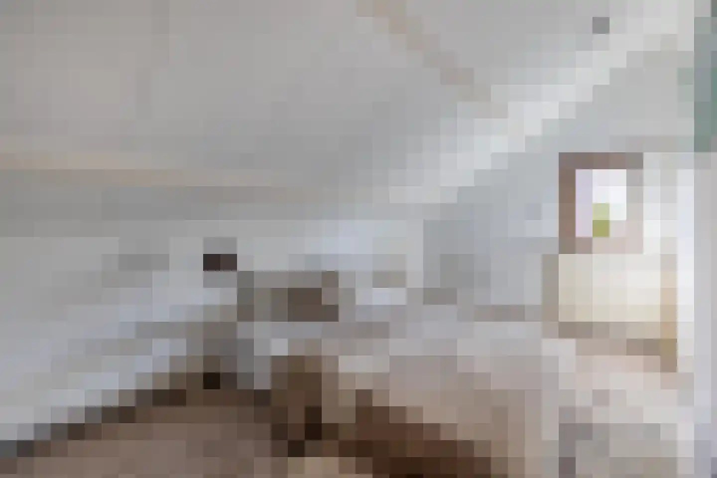 Kloosterstraat 12 Made thumbnail 27