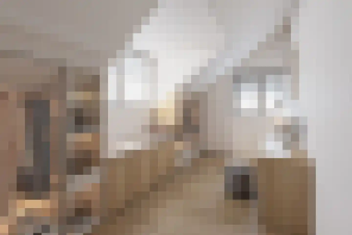 Kloosterstraat 12 Made thumbnail 28
