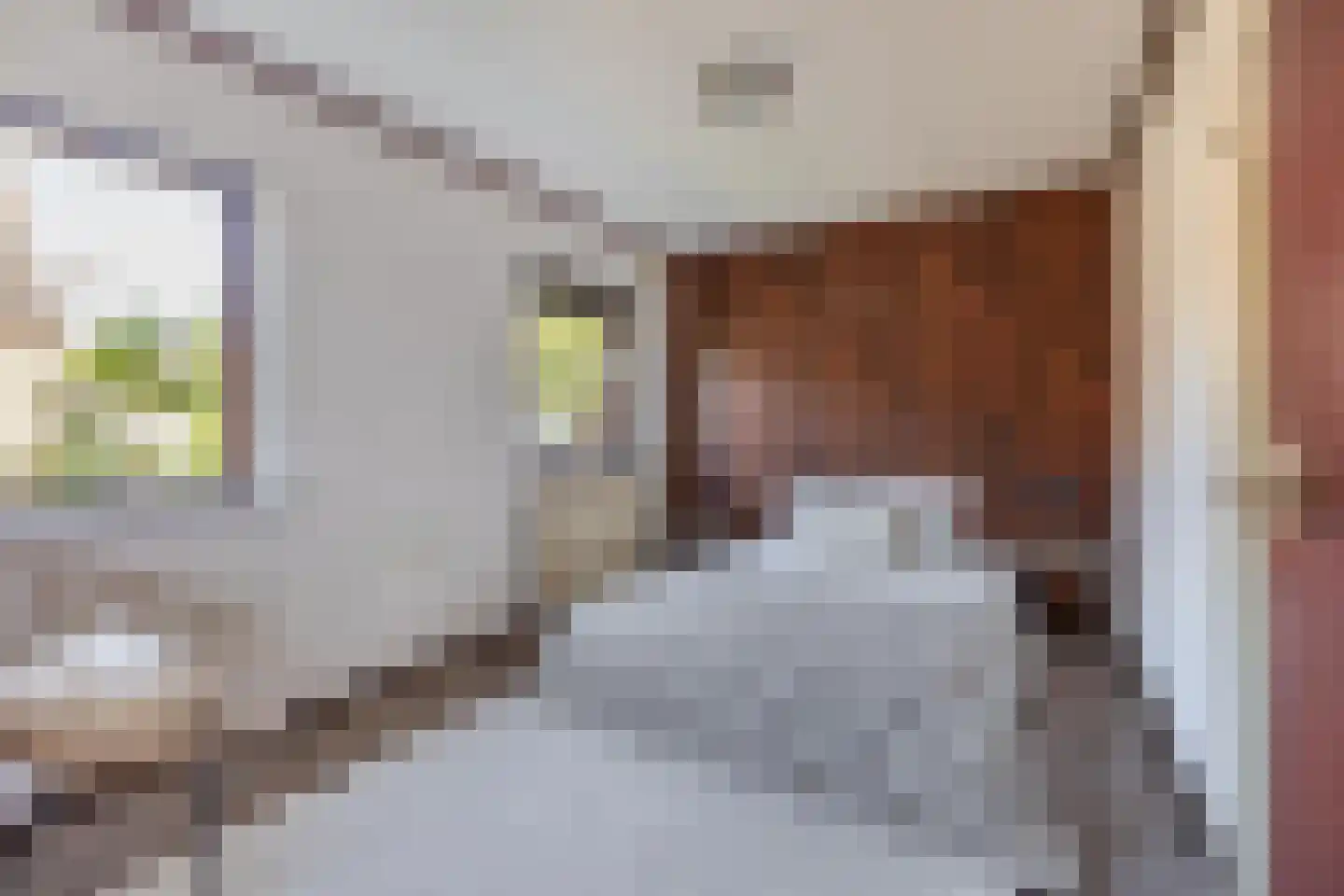 Kloosterstraat 12 Made thumbnail 5