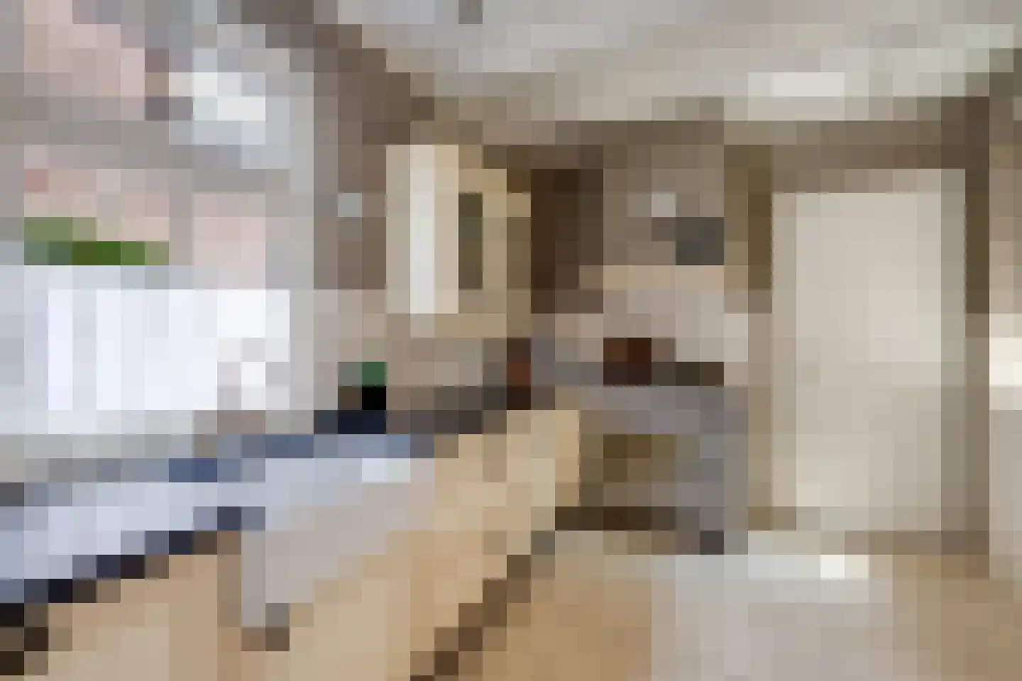 Kloosterstraat 12 Rijen thumbnail 21