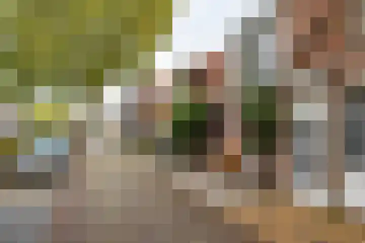 Kloosterstraat 12 Sneek thumbnail 7