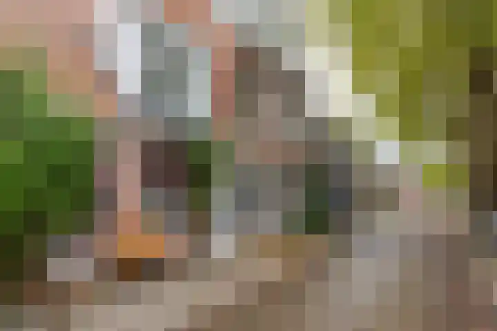 Kloosterstraat 12 Sneek thumbnail 8