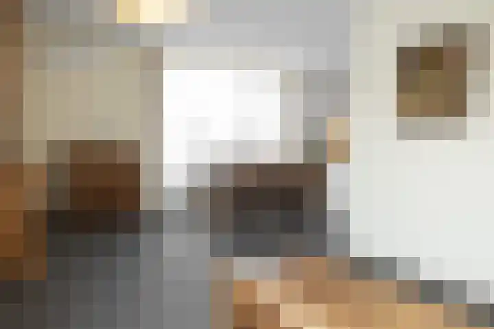 Kloosterstraat 12 Susteren thumbnail 11