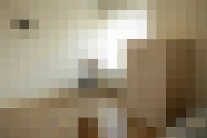 Kloosterstraat 12 Susteren thumbnail 23